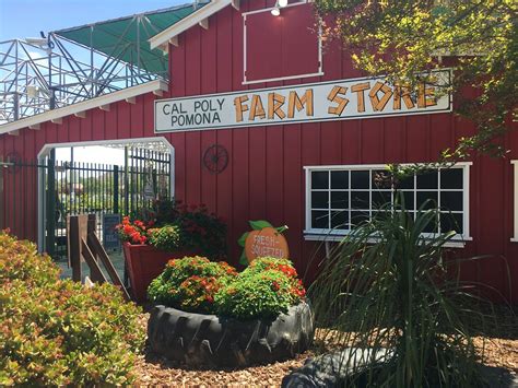 Cal poly farm store - Feb 26, 2021 · Follow the signs and park in the designated curbside pickup spaces behind the store. Call the store at (909) 869-4906, extension 2, to notify a Farm Store employee that you have arrived. A Farm Store employee will bring your order out to the car. The Farm Store joins the adjacent Cal Poly Pomona Nursery and Discovery Farm in offering curbside ... 